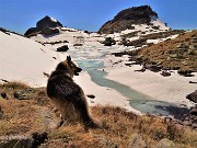55 Bello il laghetto di Pietra Quadra baciato dal sole e in disgelo